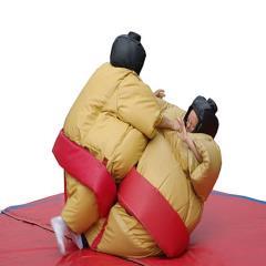 Sumo Wresting Image 1